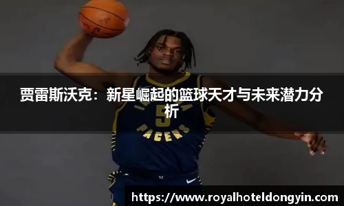 星空.综合体育官网