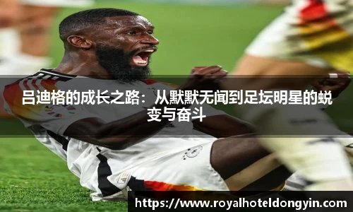 星空.综合体育官网